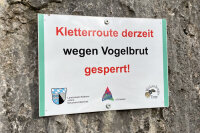 Kletterfelsen wegen Vogelbrutsaison gesperrt