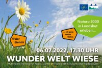 Vortrag Wunder Welt Wiese